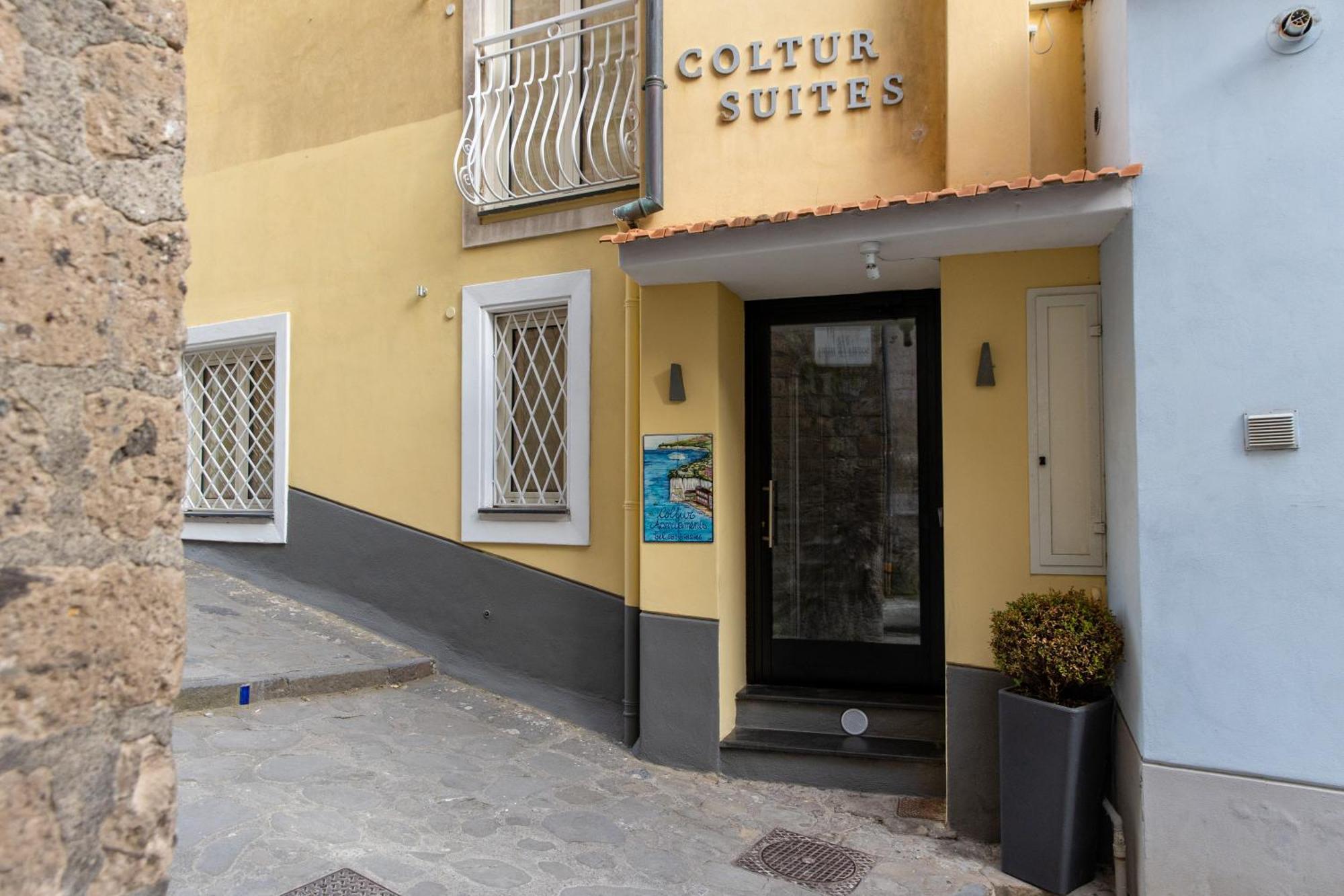Coltur Sorrent